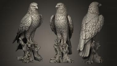 3D model Bussard (STL)